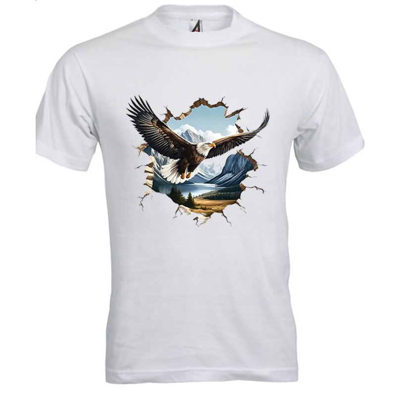 T-shirt uomo Aquila Reale