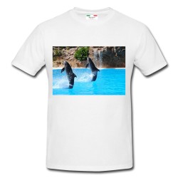 T-shirt uomo Delfinario