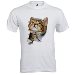 T-shirt bambino/a Gatto